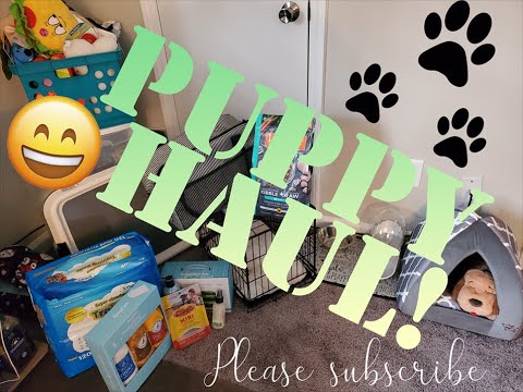 bil jac coupons petsmart