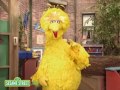 Sesame Street Elmo S World 1206