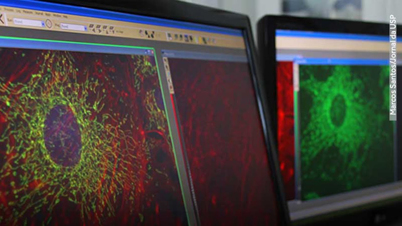 Oncologia de Precisão no Brasil