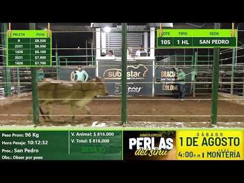 Subasta Virtual - Presencial San Pedro (E29) 22/07/2026