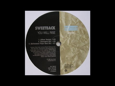 SWEETBACK featuring AMEL LARRIEUX: "YOU WILL RISE"