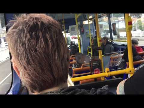 NZ: M.A.N 17.223 Bus: 14 - Wilton via. Molesworth Street