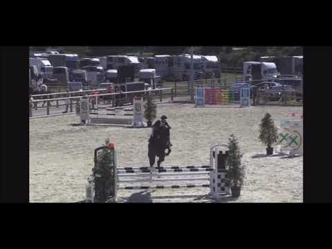 Berlina // Bellini Royal // 2017 // Mare