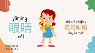 Từ vựng tiếng Trung chủ đề BỘ PHẬN CƠ THỂ 3⎮Body Part in Chinese⎮身体