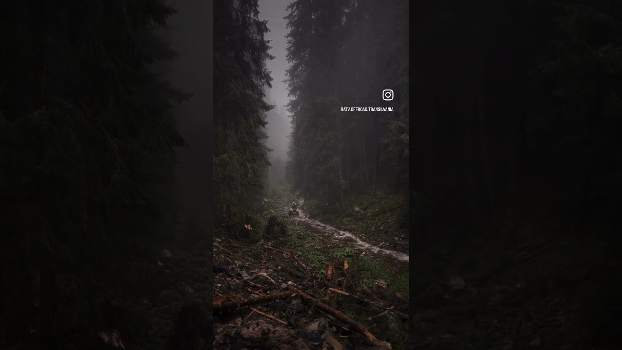 Wild Legends Video 2