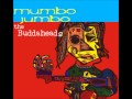 The Buddaheads For Too Long 