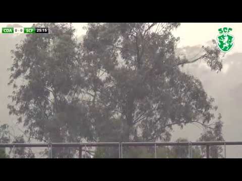 Resumo Alargado ⚽ Arrifanense Vs SC Fermentelos