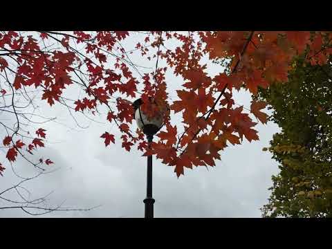 Обзор складного смартфона Xiaomi MIX Flip: первая раскладушка Xiaomi / Смартфоны