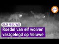 GLD Nieuws 4 maart 2023