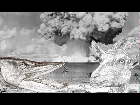 Koza x Przyłu - Szczupaki i bomby