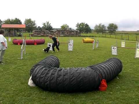 Seminar 13.August 2011 1