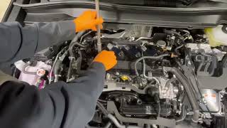2019-2024 Lexus UX250h Hybrid Spark Plug Replacement Instructions