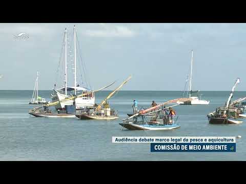 Na CMA, debatedores defendem leis separadas para pesca e aquicultura