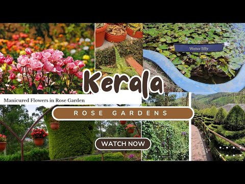 Rose Garden Munnar Complete Guided# marathi Vlog#kerala#@SwamiAarohi