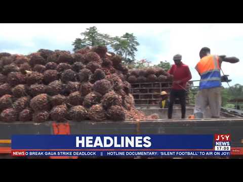 Ghana faces a 150,000-tonne crude palm oil deficit | Business Live with Pious Kojo Backah.