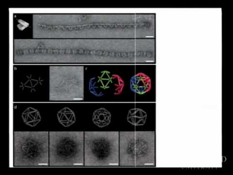 Stanford Webinar When Your Big Data Seems Too Small