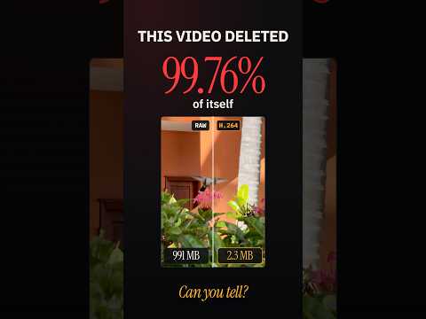 This video deleted 99% of itself and you can't see it #shorts