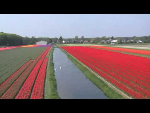 celous movies HD -  holanda 2009