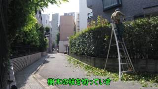 https://www.youtube.com/watch?v=T7AgJac_94U