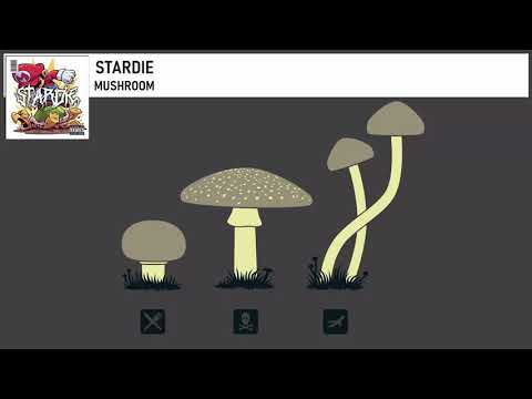 STARDIE - MUSHROOM
