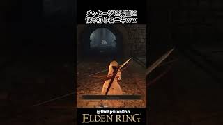 メッセージに素直に従った結果ｗｗ　 #eldenring　#エルデンリング