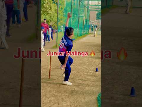 Malinga bowling action 💯 | fast bowling cricket | fast bowling Yorker | #malinga #fastbowling #ipl