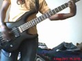 This Picture Placebo Bass Cover 