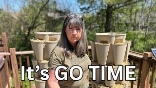 SPRING into Homestead Mode! A Day in the Life// Frugal Living