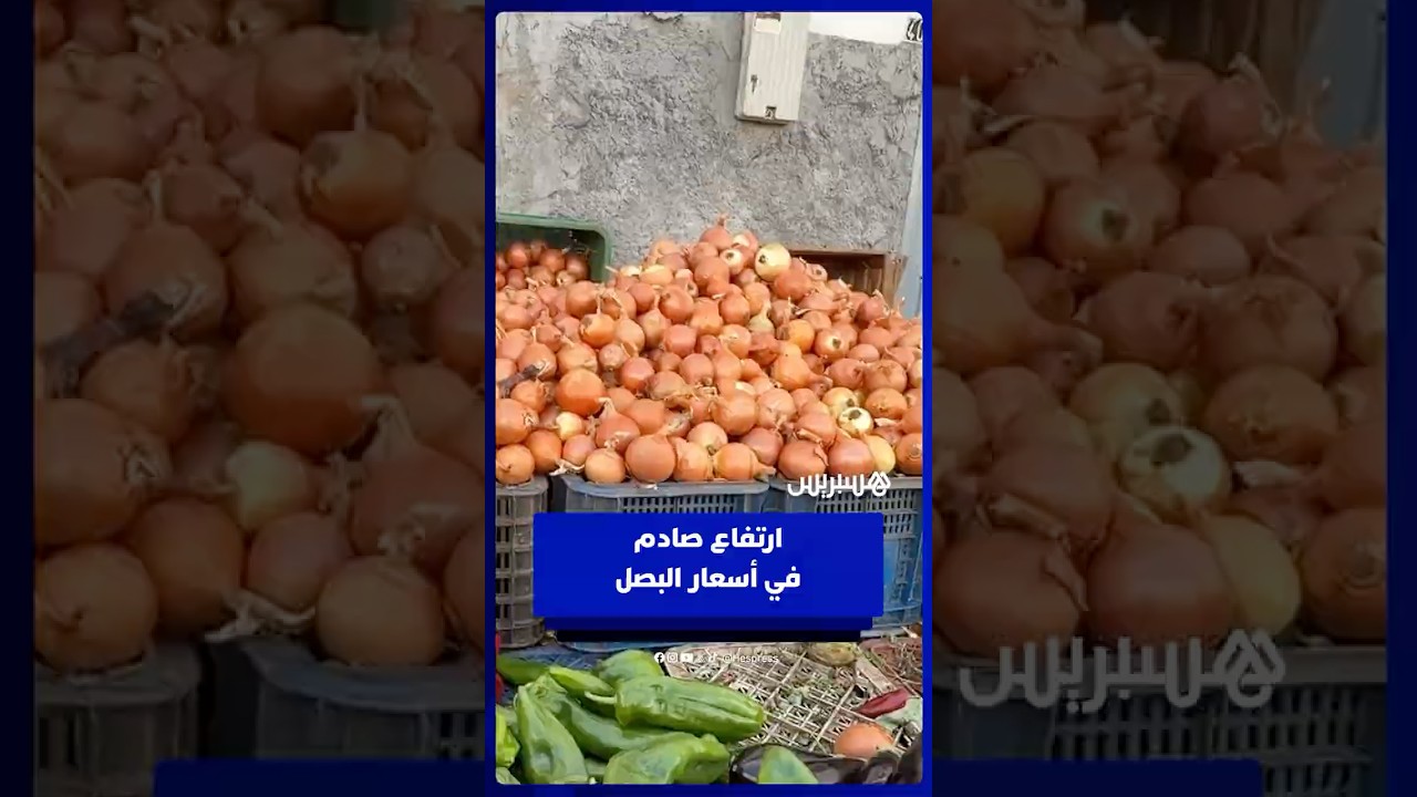 تفاصيل ارتفاع أسعار البصل بالمغرب وبلوغها 16 درهما thumbnail