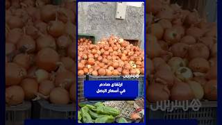 تفاصيل ارتفاع أسعار البصل بالمغرب وبلوغها 16 درهما thumbnail
