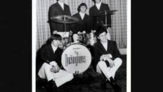 Dont Waste My Time by The Buckinghams.wmv