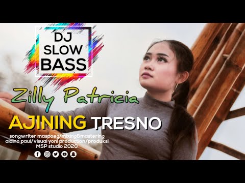 Zilly Patricia - Ajining tresno (Dj remix slow) official music video