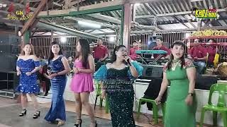 Download lagu PERSI SELAMAT DATANG - GAMBANG KROMONG MODERN RINDU MALAM - KHOE PRO AUDIO mp3 Download lagu PERSI SELAMAT DATANG - GAMBANG KROMONG MODERN RINDU MALAM - KHOE PRO AUDIO mp3