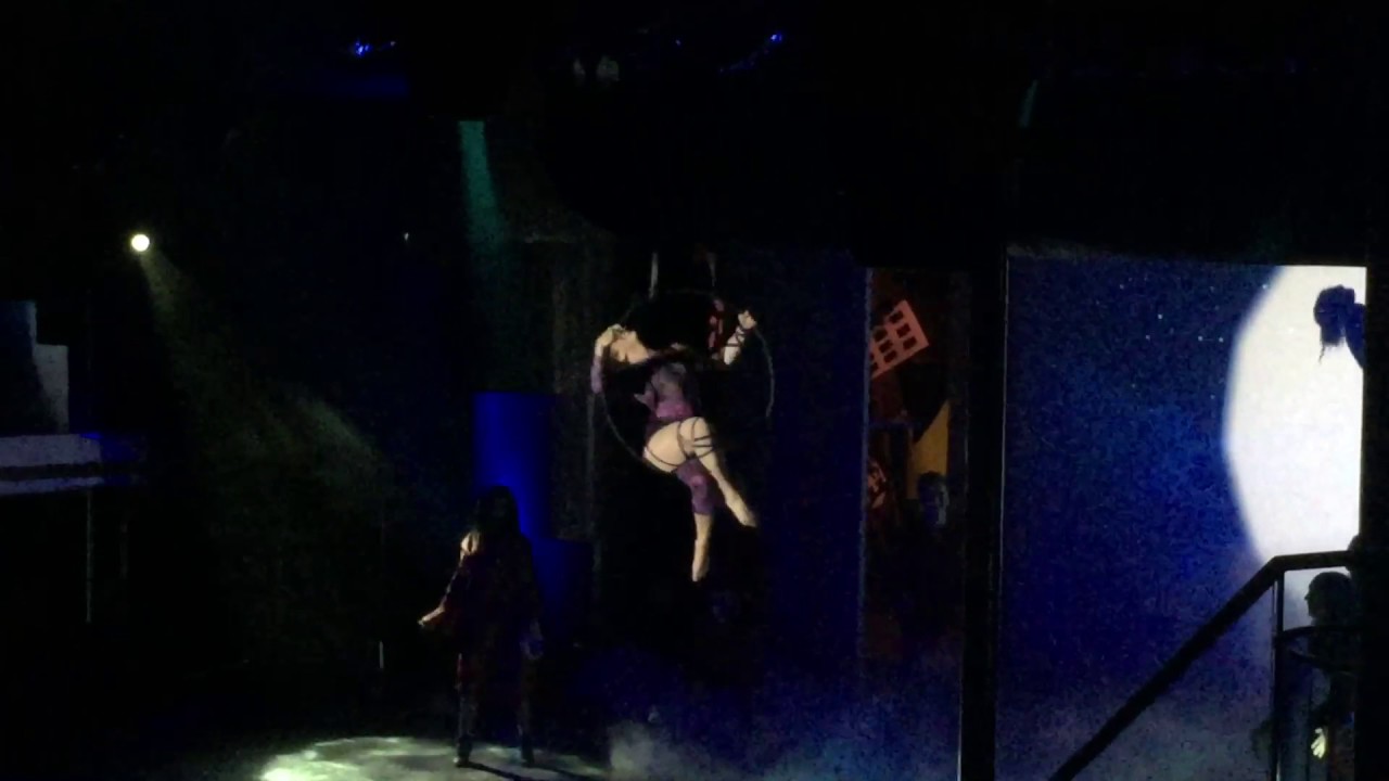 Promotional video thumbnail 2 for Flying With Ease Entertainment