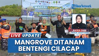 Tameng Hijau untuk Cilacap, Ratusan Ribu Mangrove Ditanam Lawan Ancaman Abrasi dan Tsunami