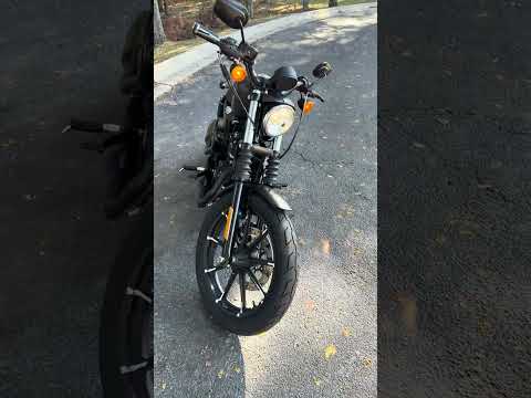 XL 883N 2022 Iron 883™