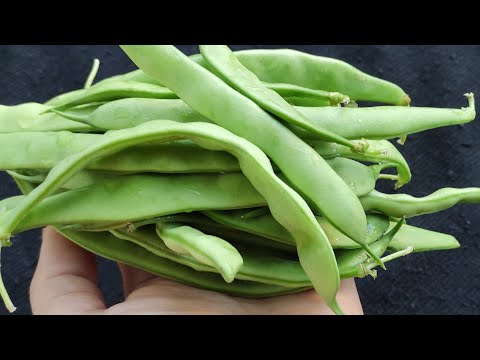 I am assertive, a recipe that will make a habit in every home