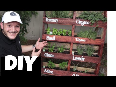 image-What is a plant palette?