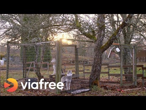 Avsnitt 9, säsong 1 | Unga mammor