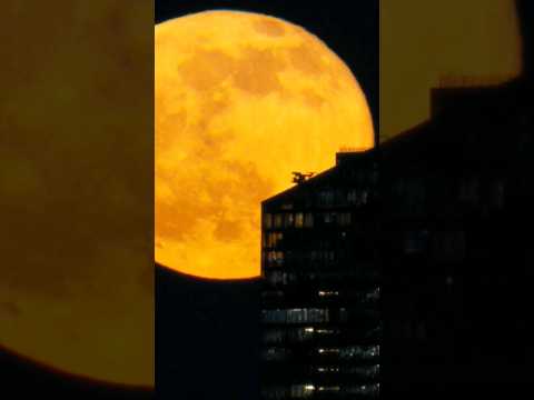 #Moon #Moonlight #Luna #night #sky #sony #fx30