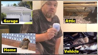 How Remove RODENTS Mice Squirrels from Car Garage Attic Home With This Electronic Repellent Device