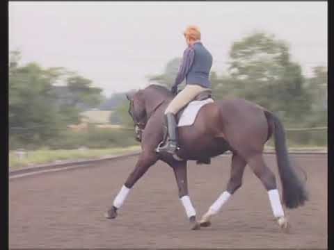 Reiner Klimke Dressage in Detail DVD 3