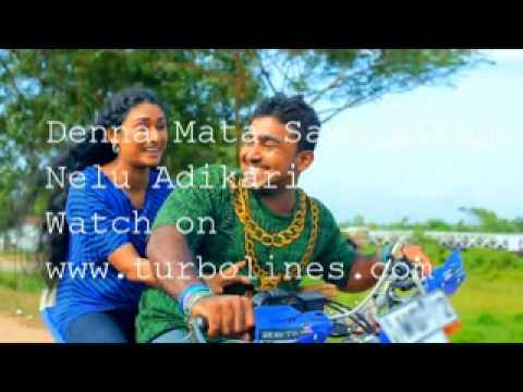 denna mata sama natha sinhala video song from nelu adikari