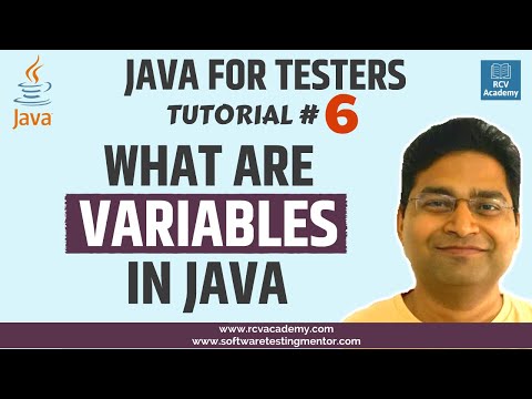 Java for Testers 6 What are Variables in Java | Variable Types