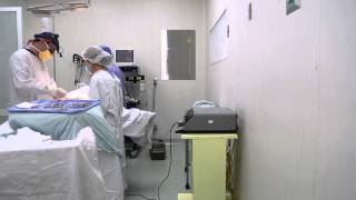 Dr. Mauricio Gallo- Una circuncisión paso a paso y sus beneficios - Dr. Mauricio Gallo