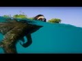 Swimming Sloth Searches For Mate | Planet Earth II | BBC Earth