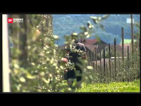 20.7.2012 Schweiz Aktuell FB