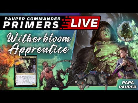 Pauper Commander Primers: WITHERBLOOM APPRENTICE - Grindy Golgari Control