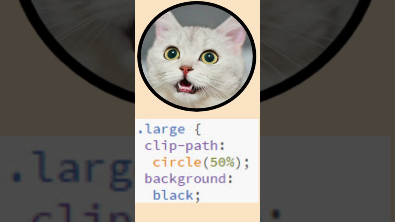 CSS clip path border