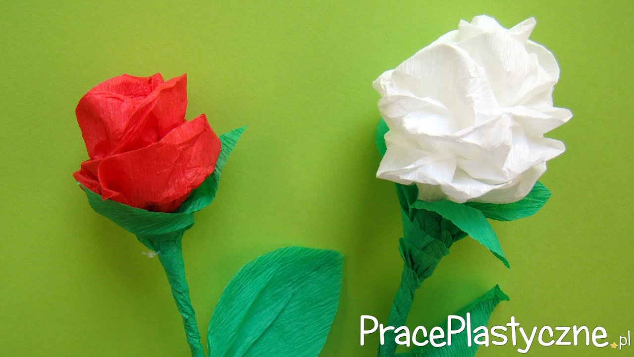 Jak zrobić różę z bibuły?